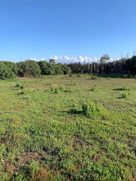 Finca Dos Vientos Tarifa Eksteriør bilde