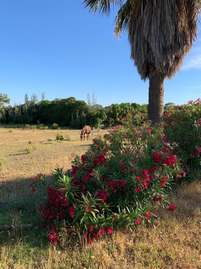 Finca Dos Vientos Tarifa Eksteriør bilde